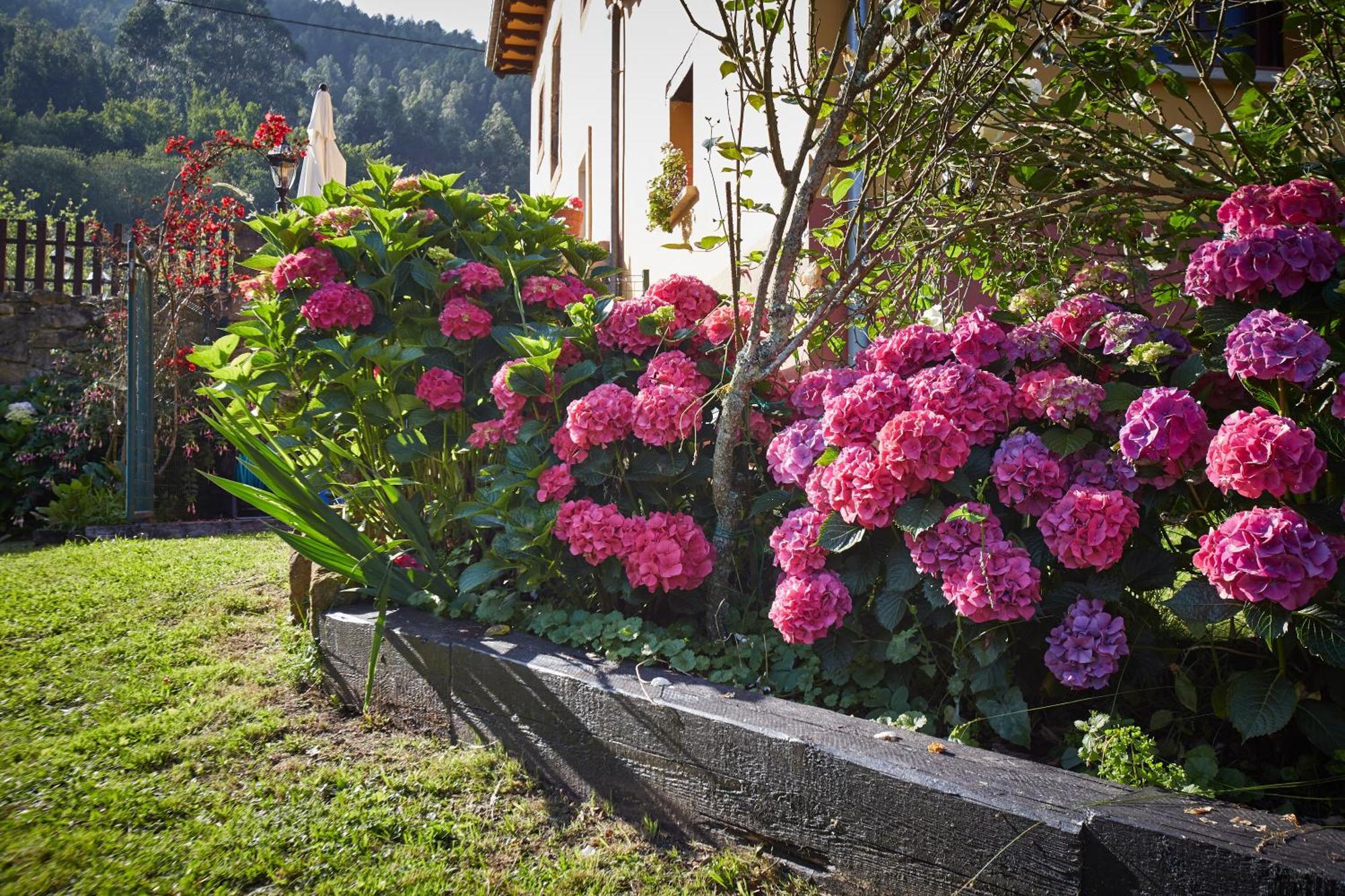 Casa Rural Casa Capión Villaviciosa (Asturias) Exterior foto